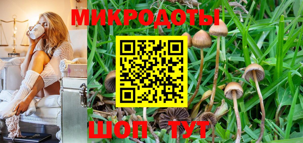 Сальск  Галлюциногенные грибы мухоморы  Галлюциногенные грибы мухоморы  Вход с VPN 