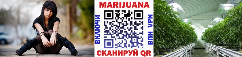 хочу наркоту  darknet телеграм  Канабис VHQ  Сальск 
